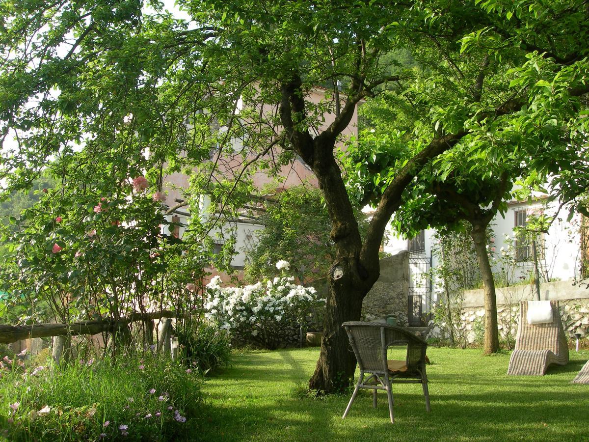 Pietra Rosa Bed and Breakfast Tramonti Εξωτερικό φωτογραφία