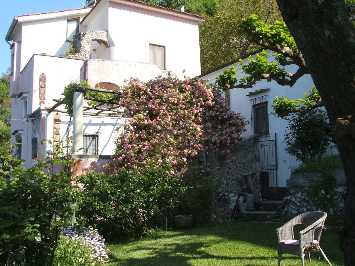 Pietra Rosa Bed and Breakfast Tramonti Εξωτερικό φωτογραφία